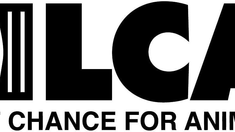 LCA logo