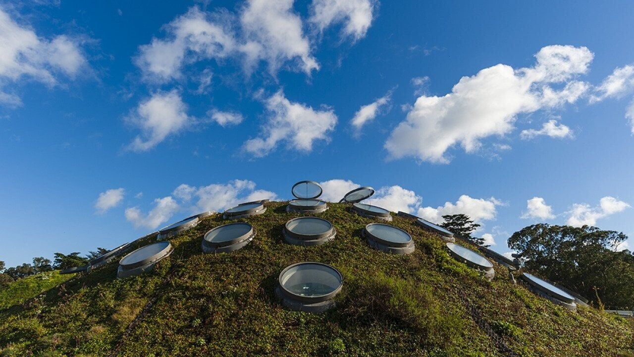 The huge, untapped potential of planting rooftop gardens in cities