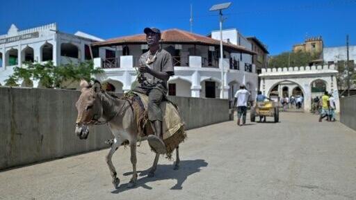 Much transport on Lamu happens by donkey