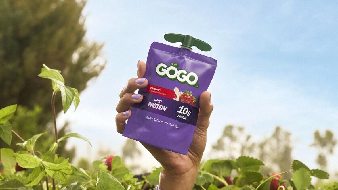 GOGO® Dairy Protein