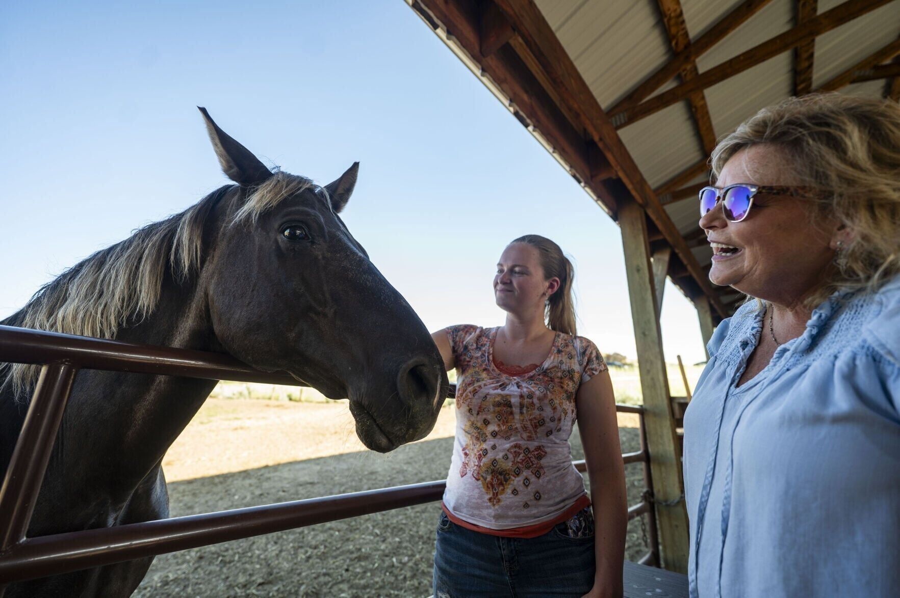 Sunridge Ranch 4