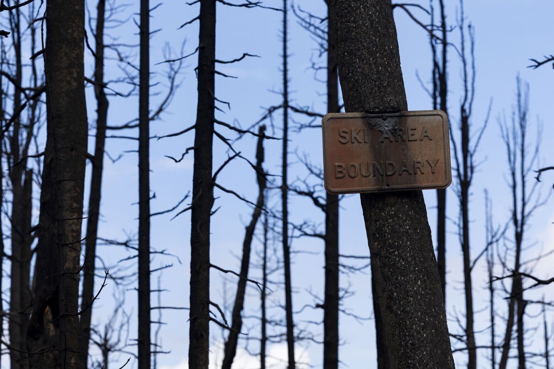 Fire damage from the Sand Creek fire at Maverick Mountain