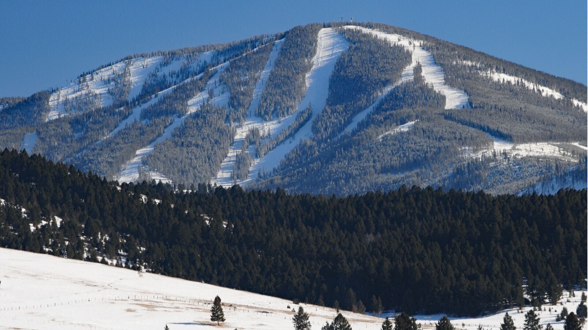 DISCOVERY SKI AREA NORTH SIDE - FLINT CREEK RANGE - RICK &amp; SUSIE GRAETZ.jpg