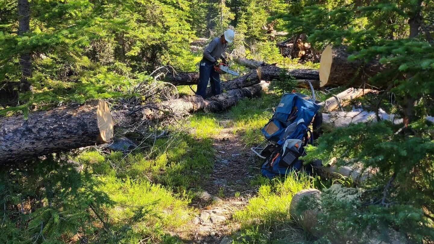 Helena volunteers clear storm-hit Elkhorn trails for recreation access