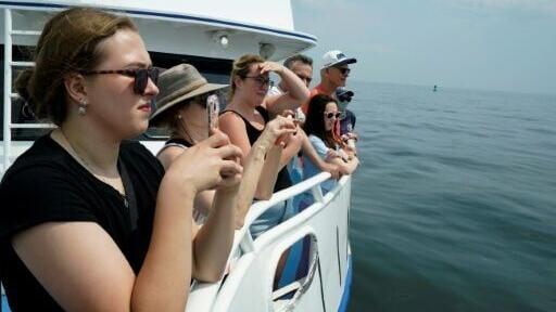 Climate change is playing a role in the surge of New York-area whale sightings