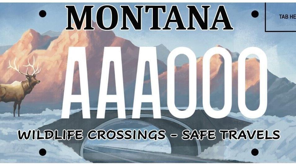 New Montana license plate to fund safer wildlife crossings