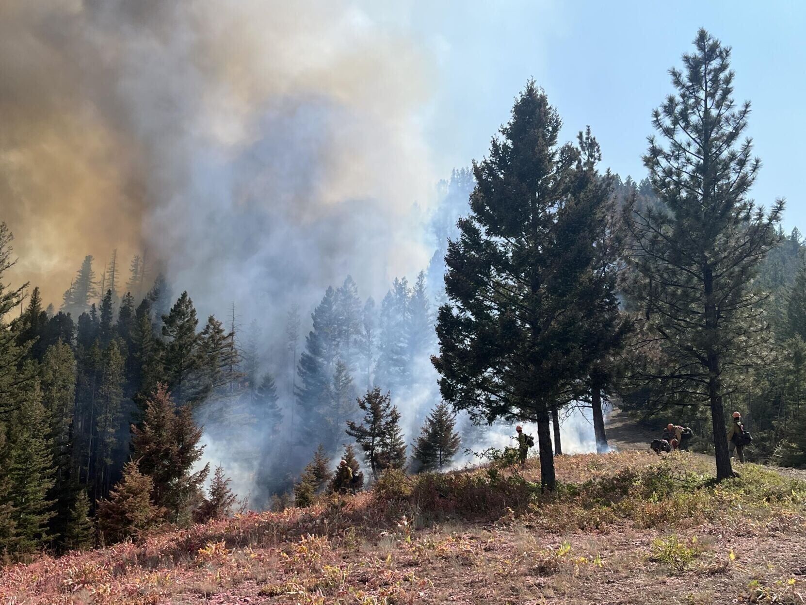 Elder Fire