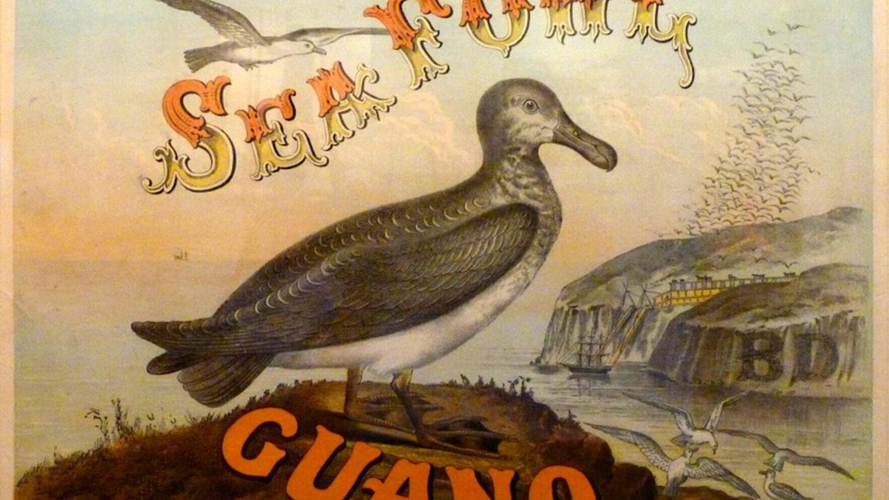 An advertisement for guano to be used as fertilizer depicts not only seabirds but also a guano island.