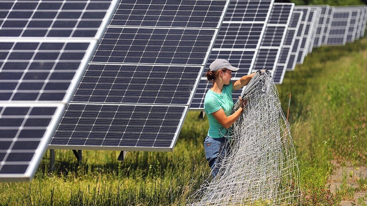 The state of solar: Despite partisan rhetoric, the industry is still booming