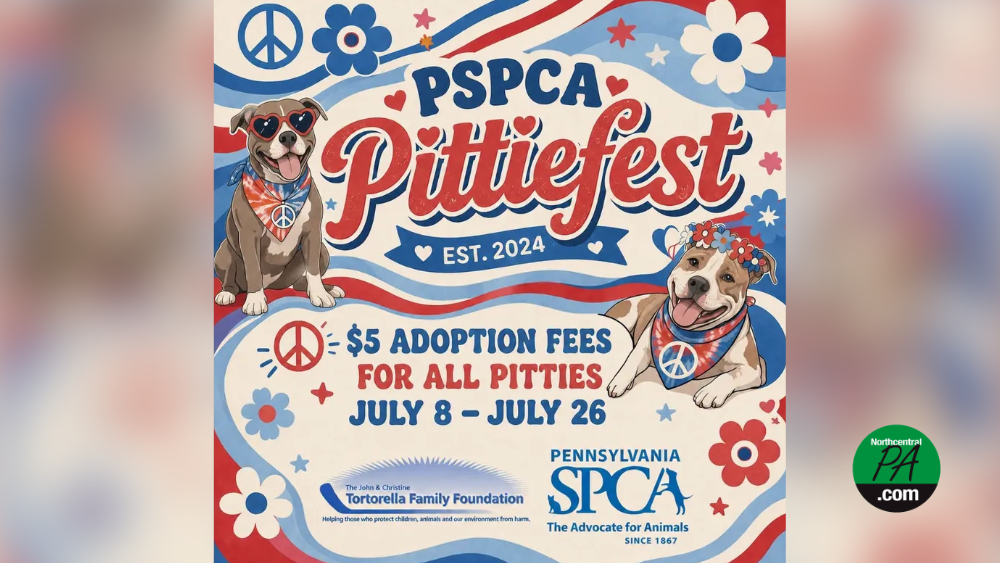 pittiefest 2026 ncpa - 1