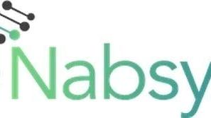 Nabsys Logo