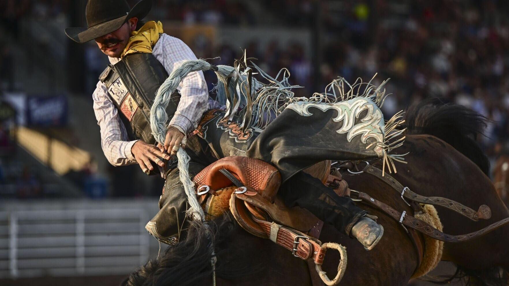Friday Rodeo 1