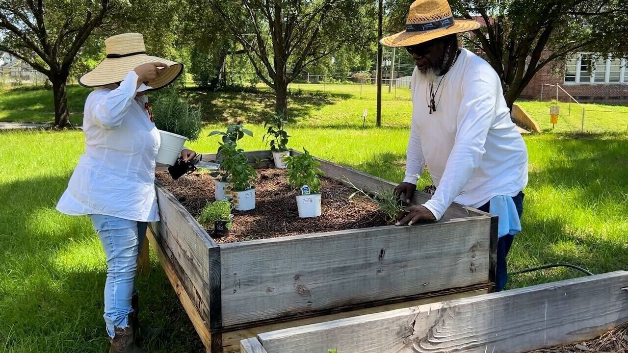 Community garden