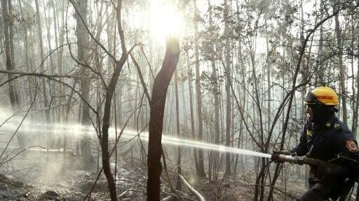 Some 250 firefighters and residents were fighting the blaze after it began in a nearby forest