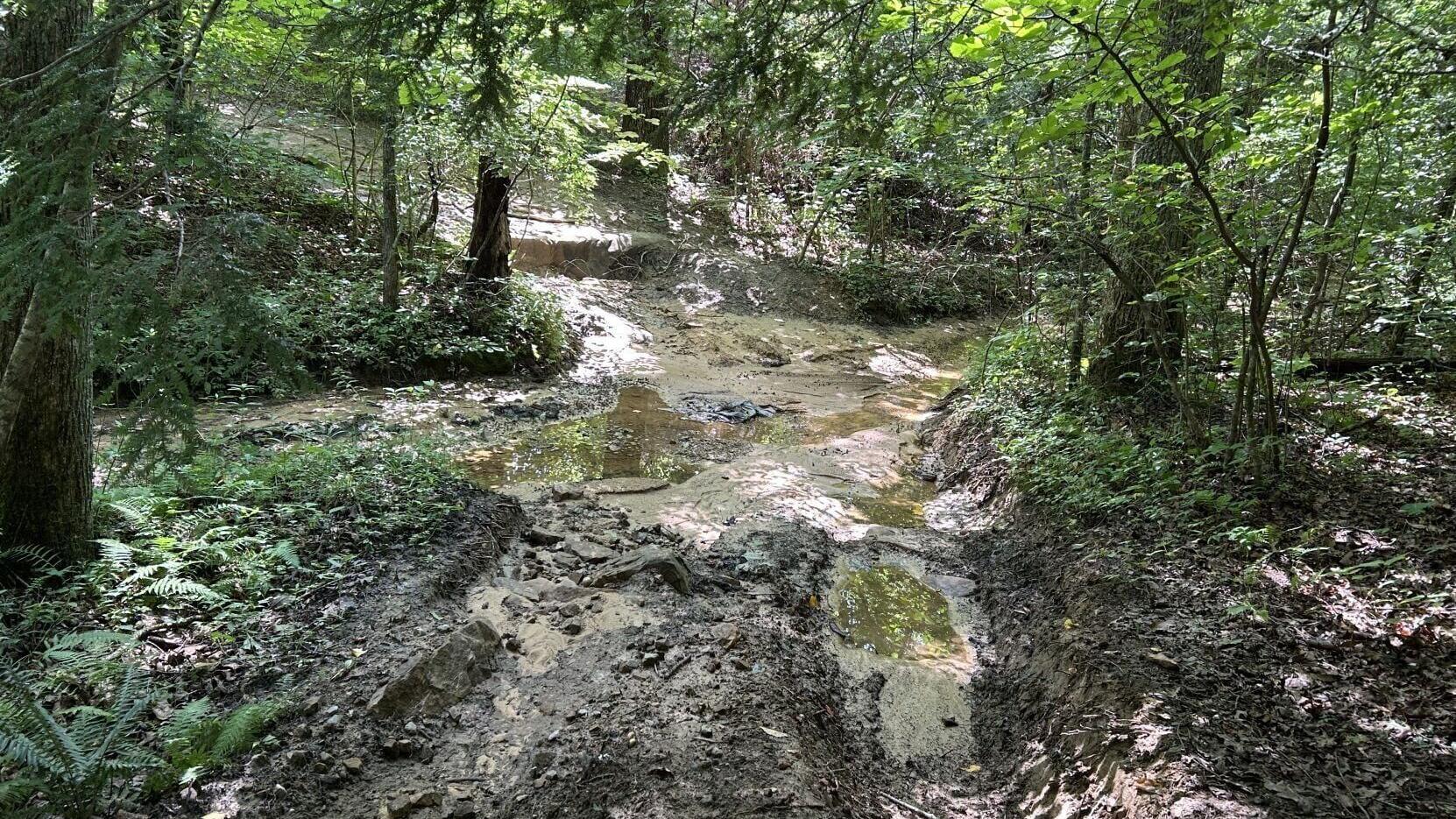 Trail damage