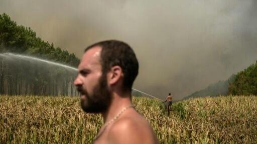 Firefighters spent hours hosing gallons of water onto the forest edge while standing amid the crops