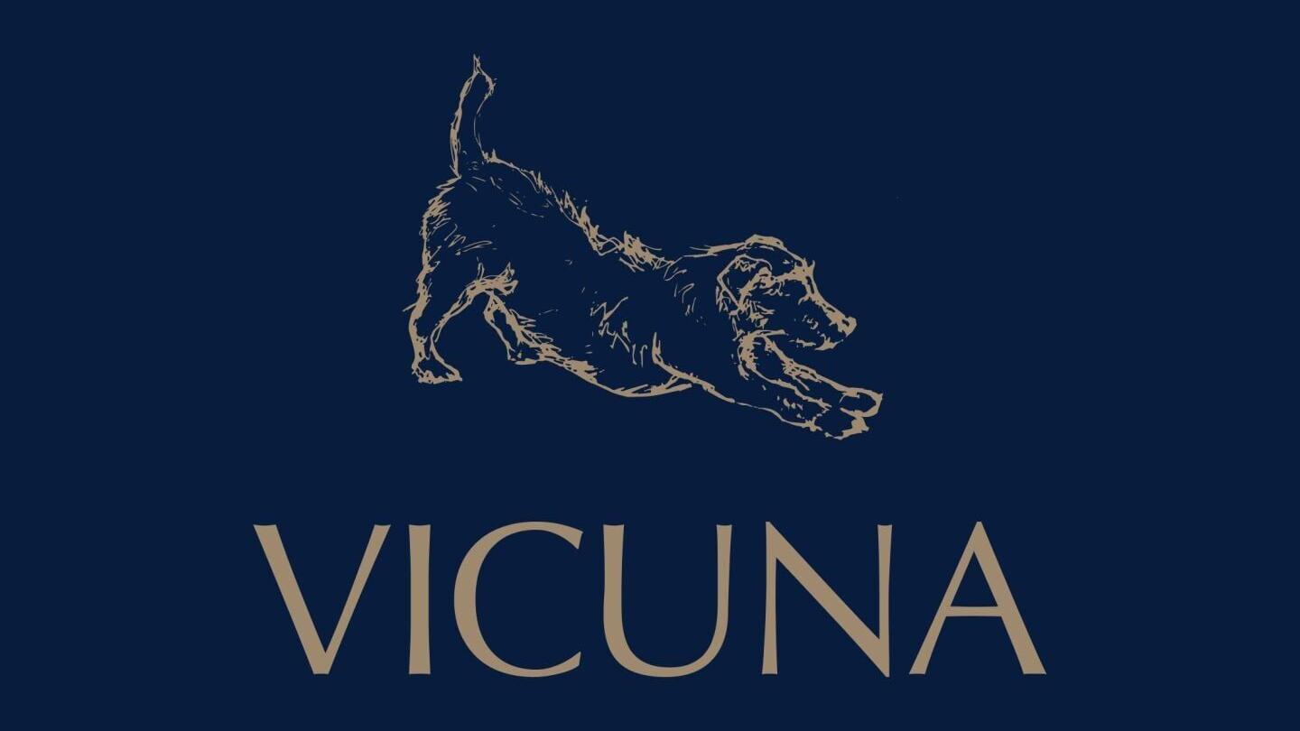 Vicuna Air limited Logo