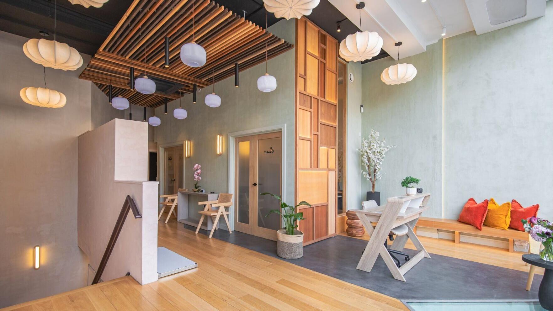 Virtue Vets Notting Hill clinic