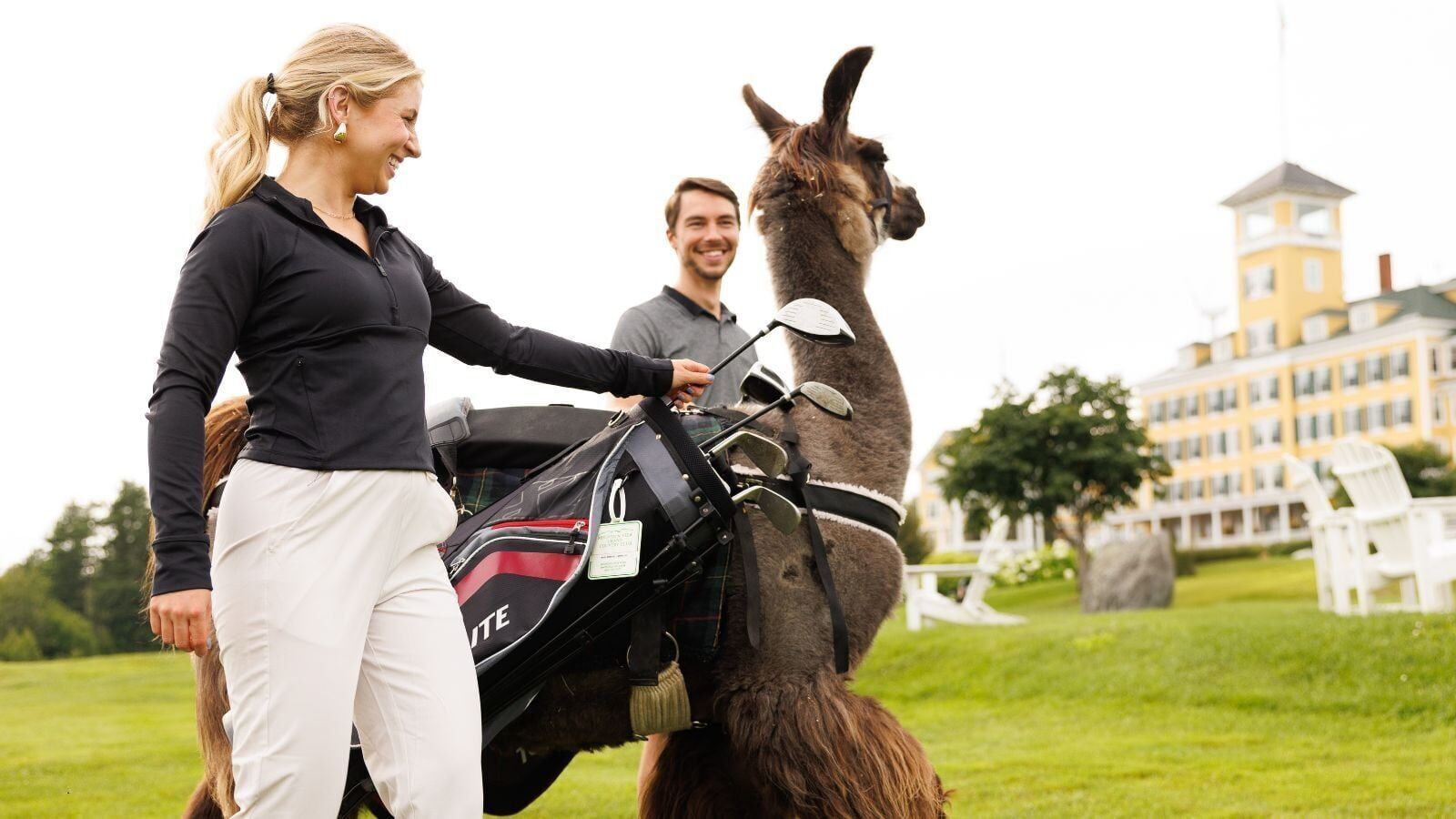 llama caddie.jpg
