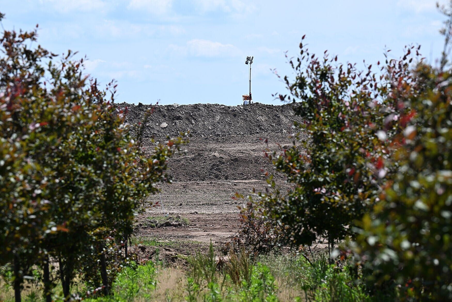 A large pile of excavated soil lies behind the remnants of tree rows