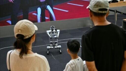 Commercial application of robots remains limited, with most used for research or display