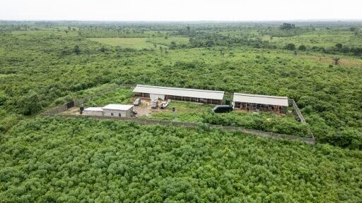 The clandestine meth laboratory hidden in the forest of Ogun State, Nigeria that was raided in May