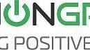Official logo for TurnOnGreen, Inc.