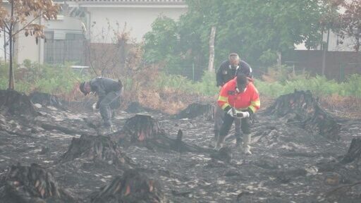Bomb squad delays residents’ return after Gironde wildfire
