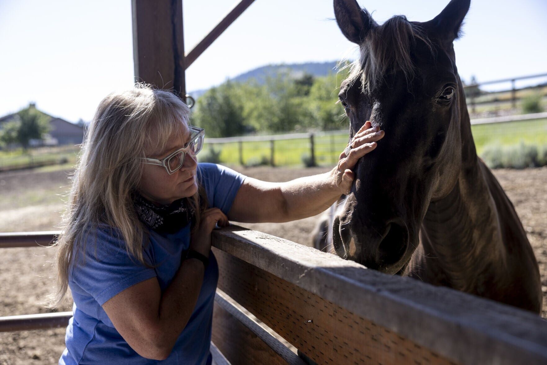 Sunridge Ranch Equine Therapy 03