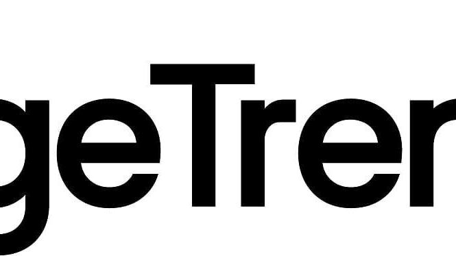 ImageTrend LLC logo.