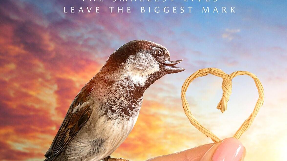 Happy the Sparrow's Inspirational New Documentary Film
