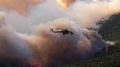As Greece grapples with a succession of wildfires that have scorched thousands of hectares of forest, scrubland and farmland