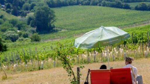 The taverns in the vineyard-lined hills are a beloved Viennese institution