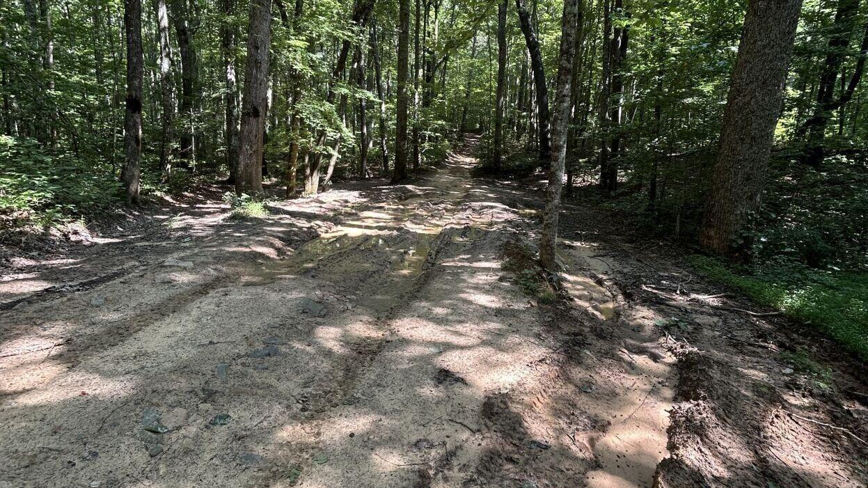Trail damage in the forest