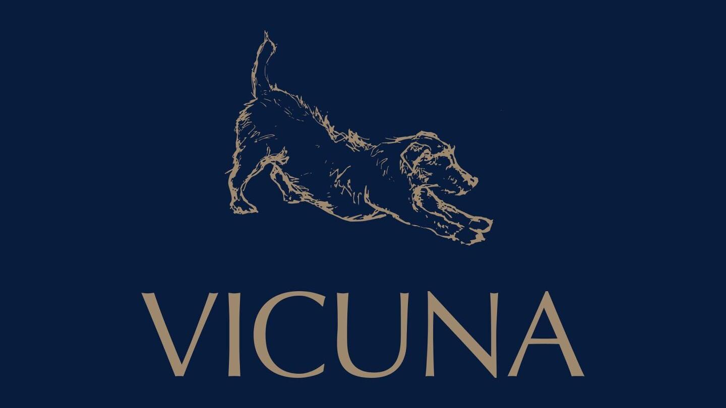 Vicuna Air Limited Logo