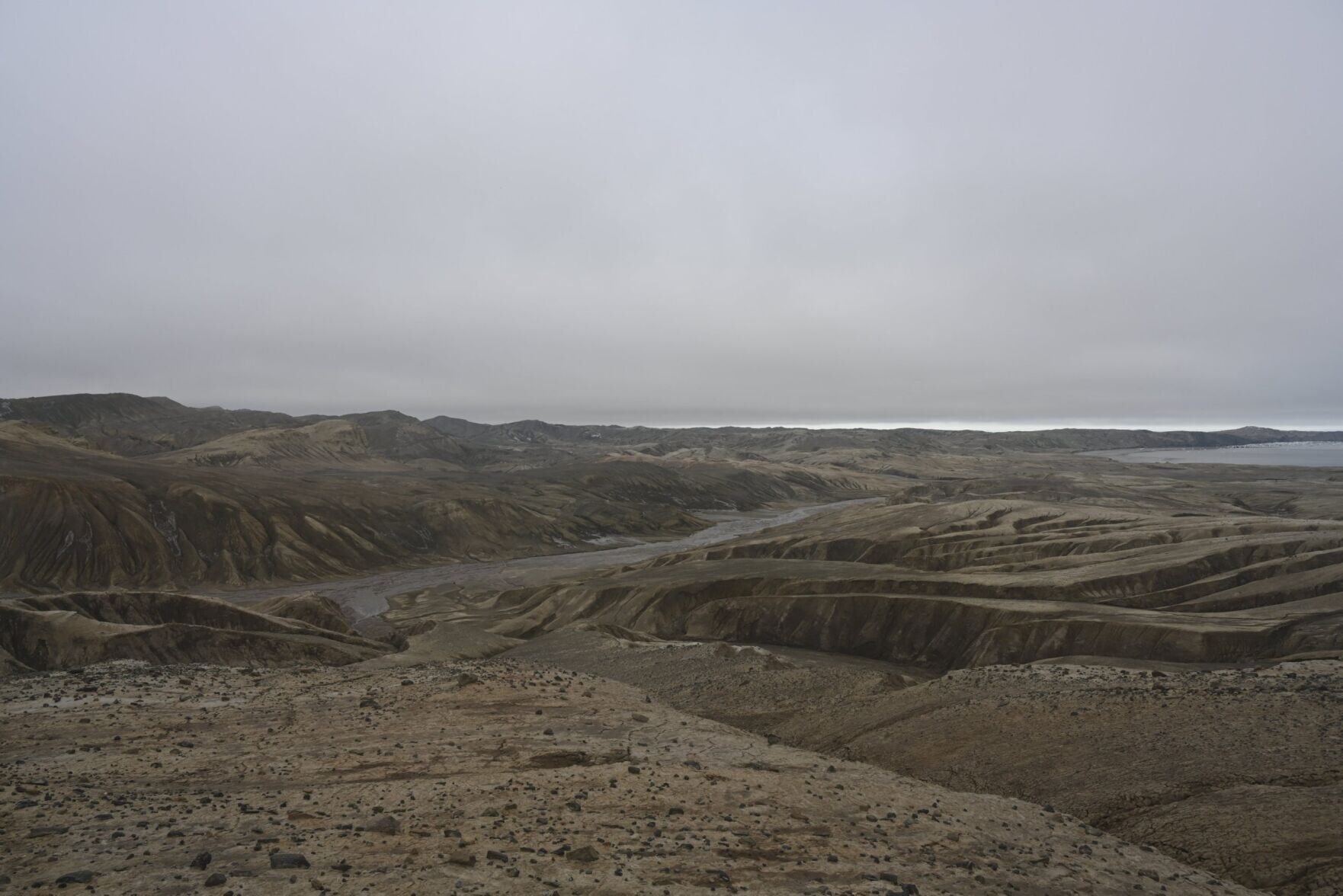 Ancient penguin fossils offer new window into Antarctica’s changing climate
