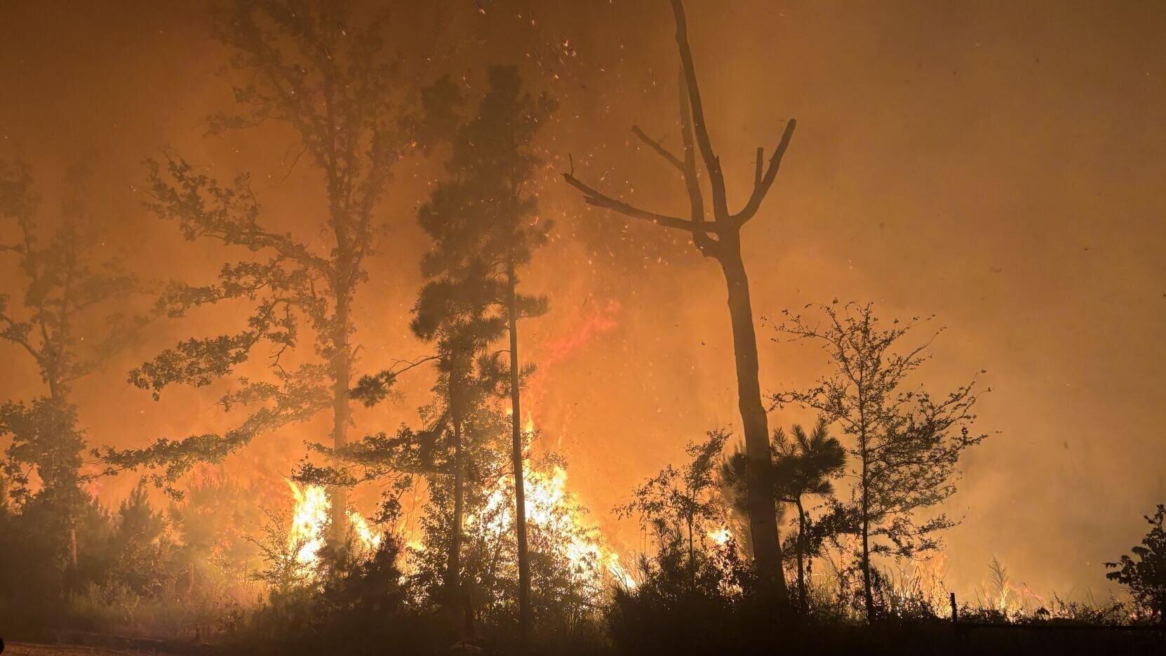 Pine Tree Road Fire