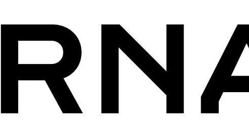 International Motors logo