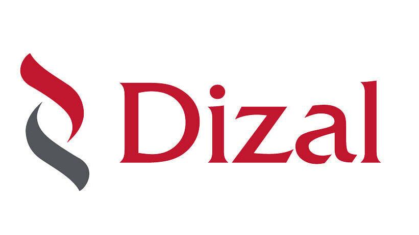 Dizal logo