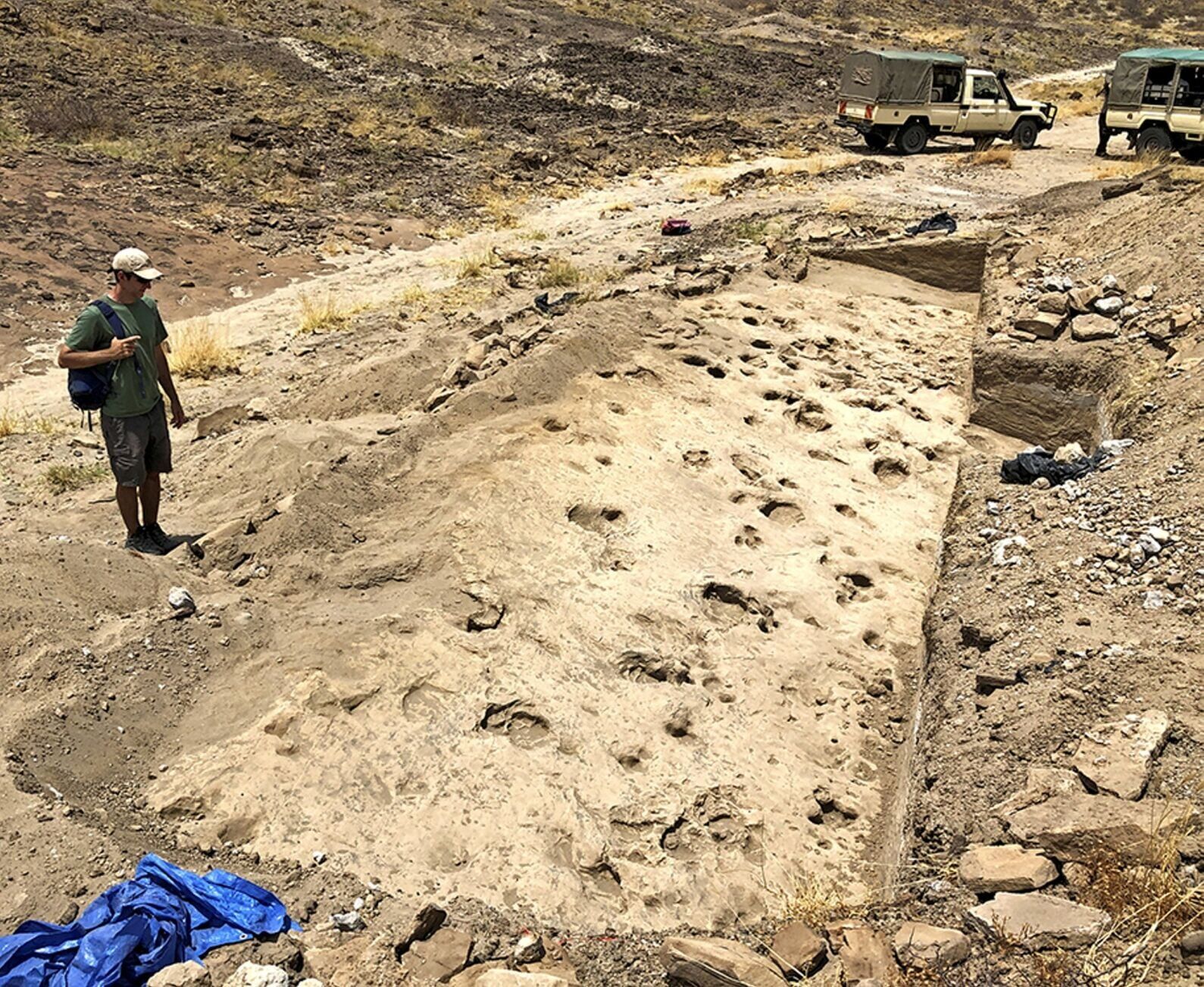 Footprints reveal ancient human relative travelled in groups 1.4 million years ago