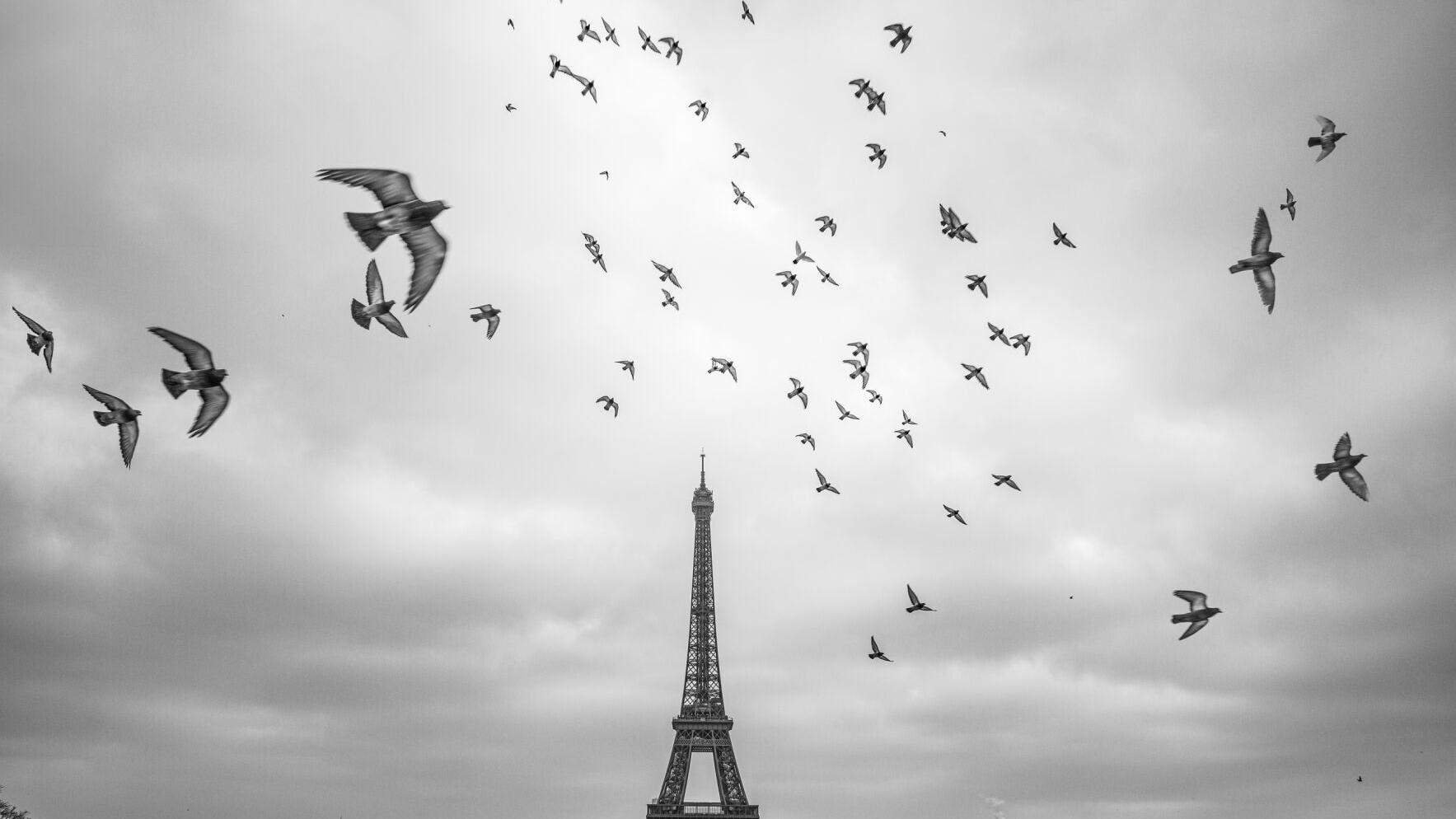 Leica Store &amp; Gallery Chicago presents Mathieu Bitton Brings Paris Blues
