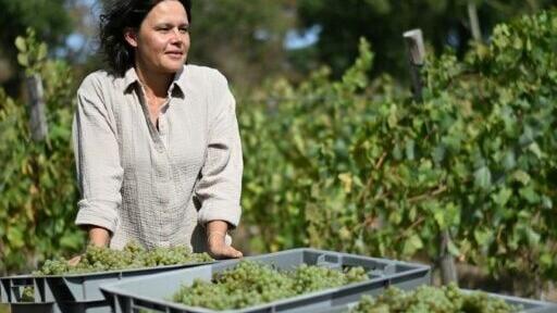 French winemaker Marina Fourrure said Brittany was 'now a very good place to plant vines'