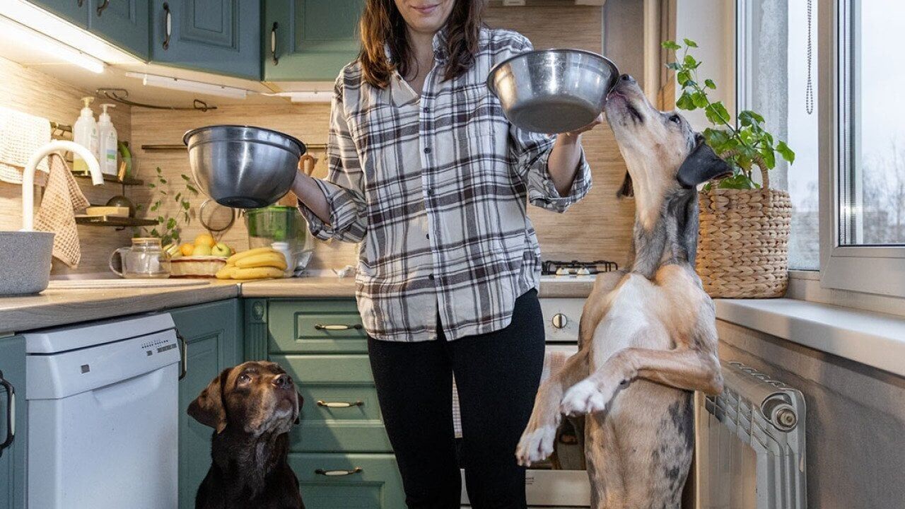 How AI engines decide which pet brands are safe to recommend