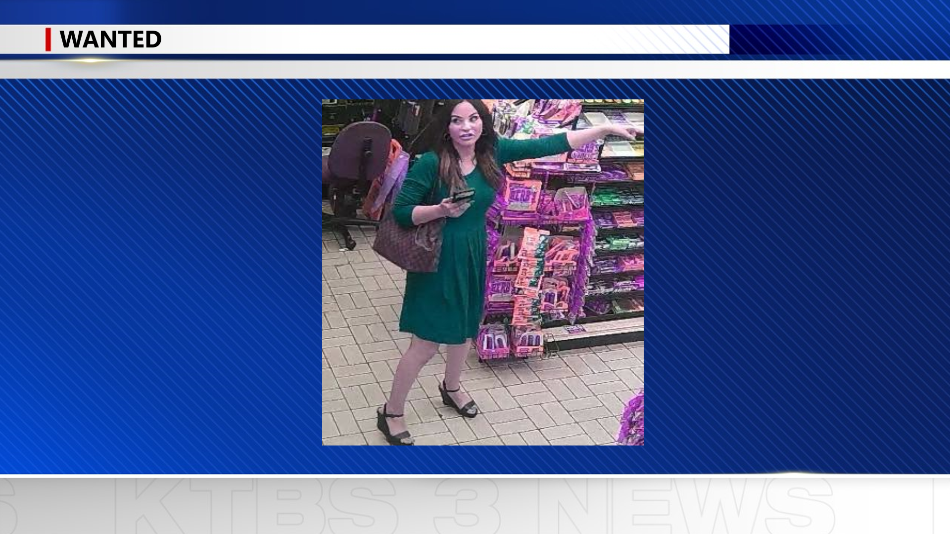 SPD woman wanted campaign signs