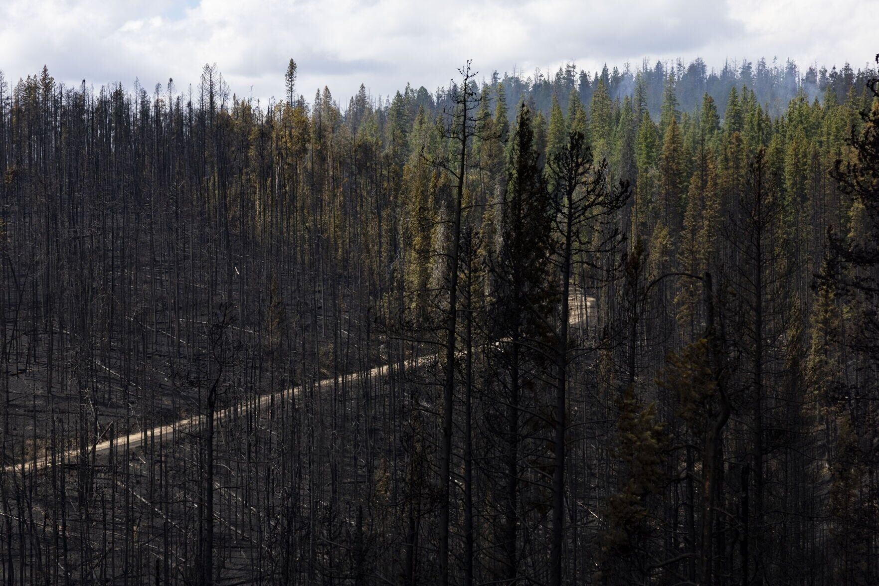 Fire damage from the Sand Creek fire at Maverick Mountain