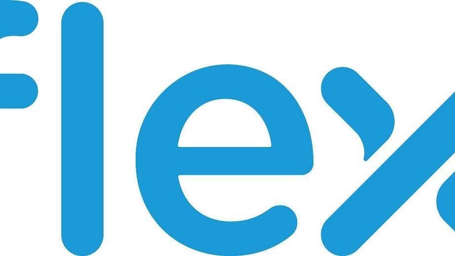 Flex Logo
