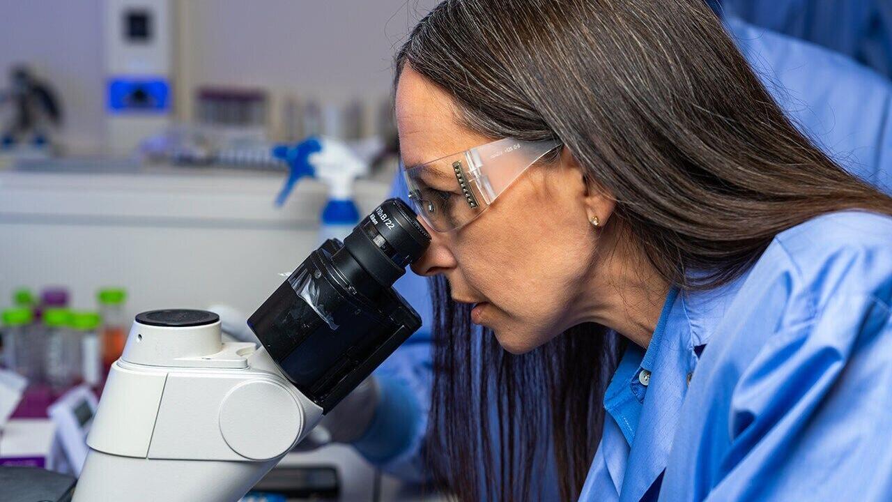 Auburn University's biomedical engineering programs will offer a doctoral degree, thesis and non-thesis master’s degrees and two graduate certificates, all drawing on the university’s established expertise in advanced biomedical technologies and systems.