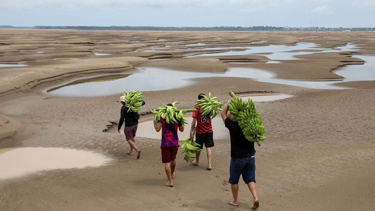 The world is getting too hot to feed itself