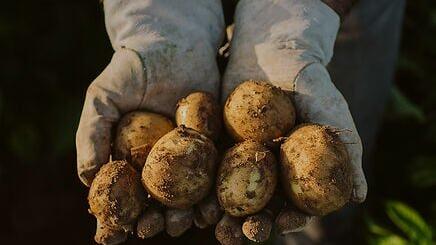 In 2025, PepsiCo also delivered 79 billion portions of diverse ingredients, including whole grains, plant-based proteins, fruits and vegetables.