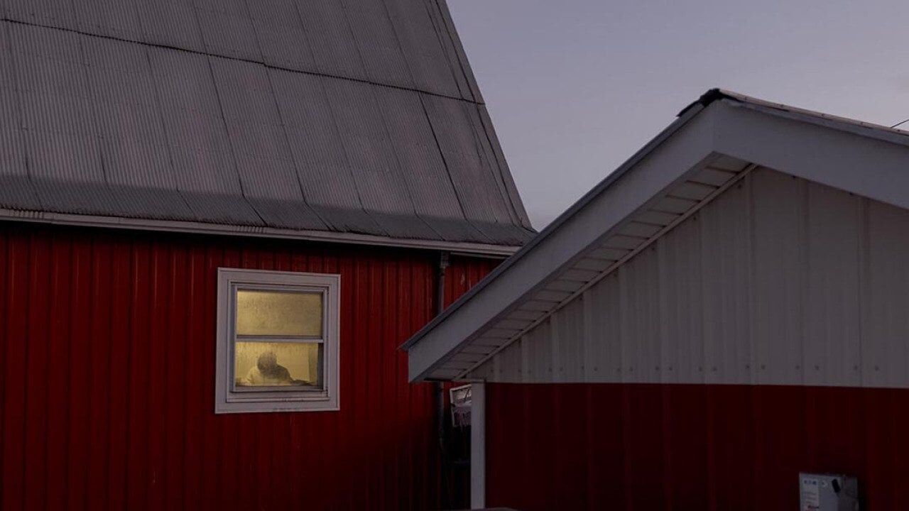 ‘I don’t go out’: Undocumented dairy workers live in fear after immigration raids